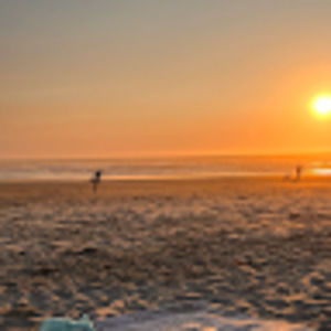 Meet your Posher, Estella